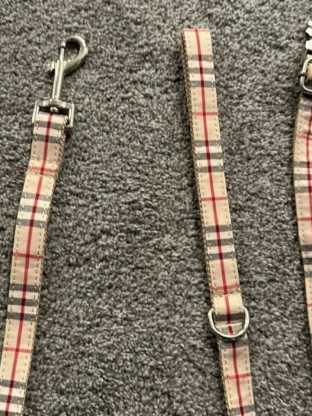 Fashion Dog collar and leash